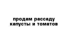 продам рассаду капусты и томатов